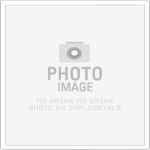 元意稅務記帳士事務所：專業代辦政府文件與行政事務，減輕企業負擔